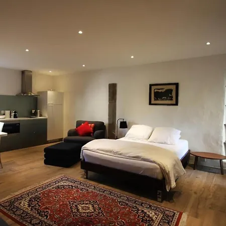 Studio Renove A Tannay, Parking Et Wifi Gratuit 公寓